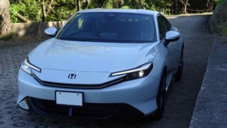 Thumbnail of post image 187