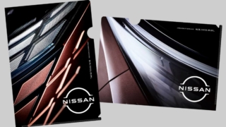 Thumbnail of post image 050