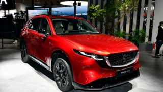 Thumbnail of post image 075