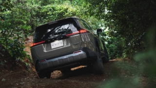 Thumbnail of post image 195