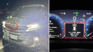 Thumbnail of post image 120