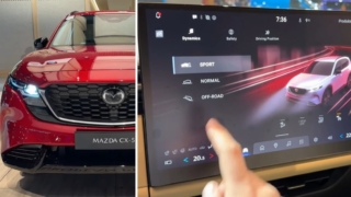 Thumbnail of post image 111