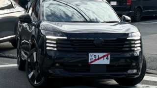 Thumbnail of post image 035