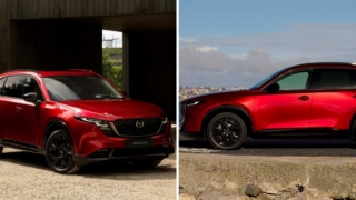 Thumbnail of post image 118