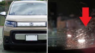 Thumbnail of post image 106