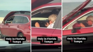 Thumbnail of post image 188