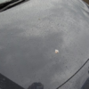 【悲報】フルモデルチェンジ版・トヨタ新型プリウスを洗車して半日後に「通り雨と鳥の